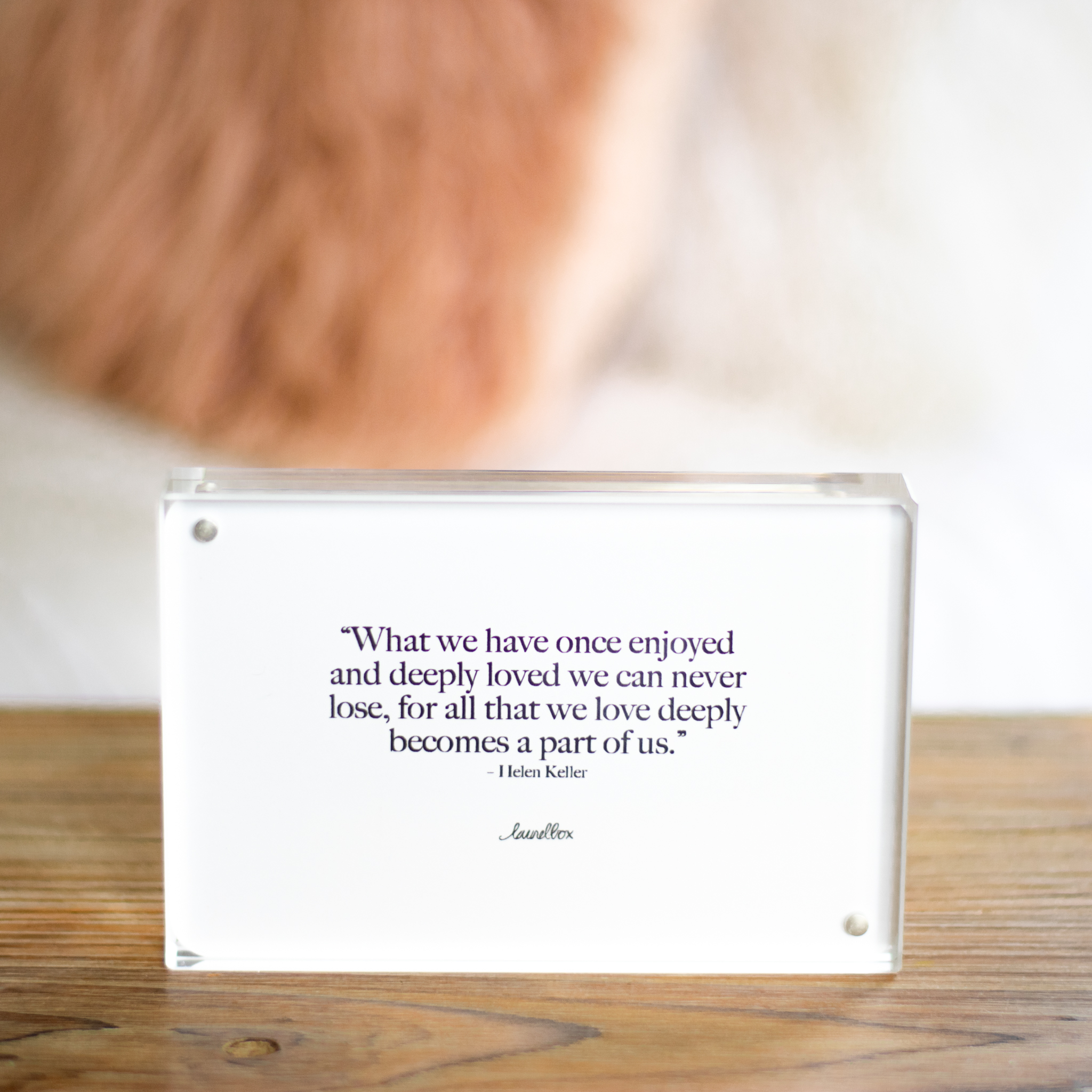 Deeply Loved Photo Frame image number null